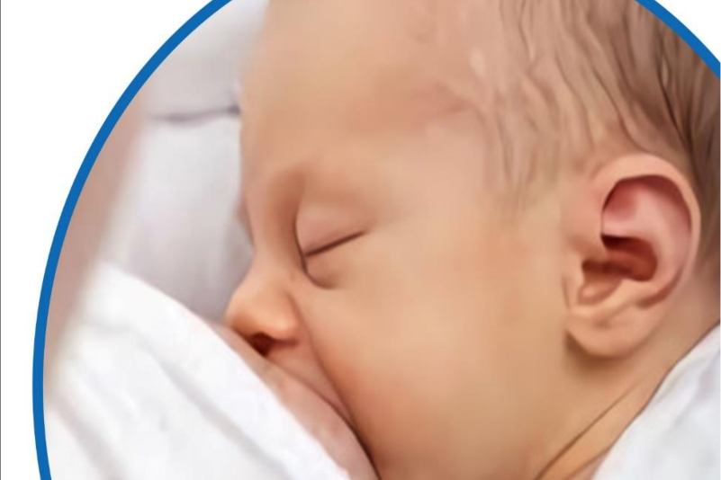 FORTALECIMIENTO DE COMPETENCIAS TEÓRICO PRÁCTICAS PARA CLINICAS DE LACTANCIA MATERNA