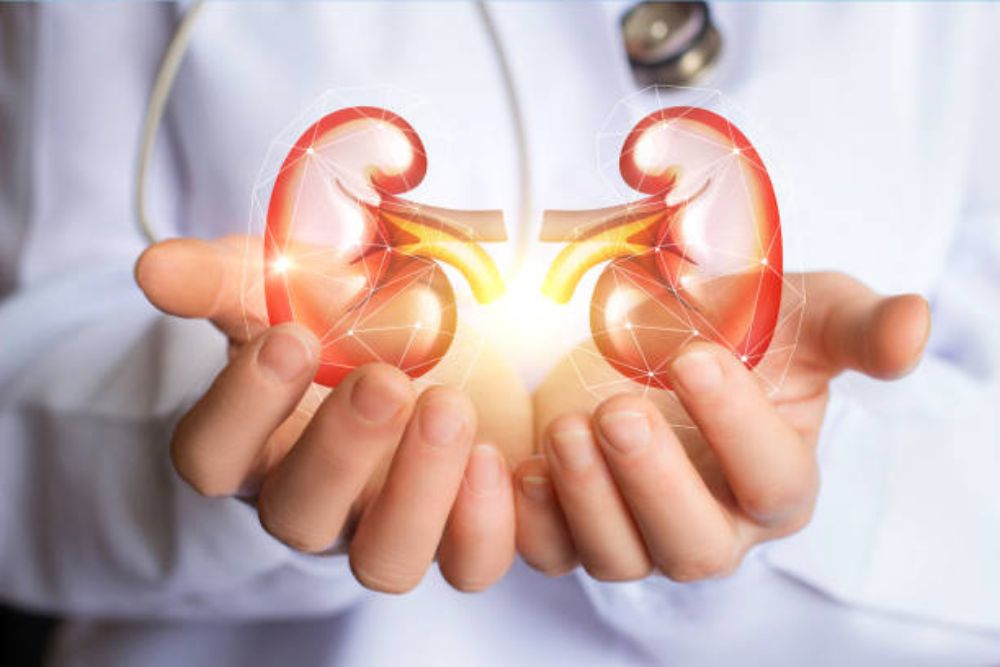 MANEJO DE LA ENFERMEDAD RENAL CRÓNICA (ERC) EN ATENCIÓN PRIMARIA DE SALUD (APS)
